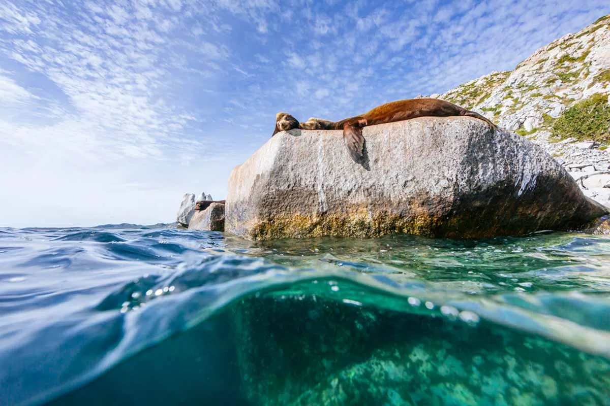 Cabo Pulmo National Marine Park