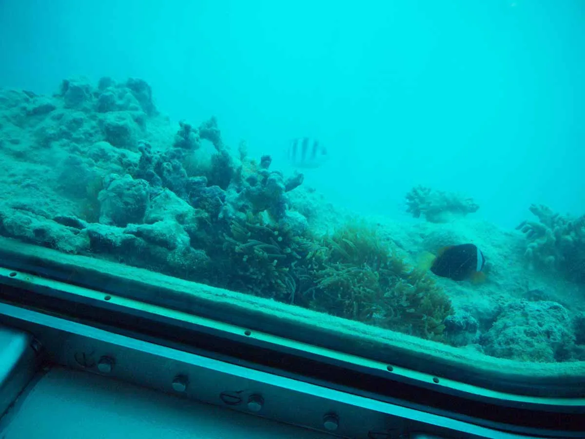 Cabo Submarine