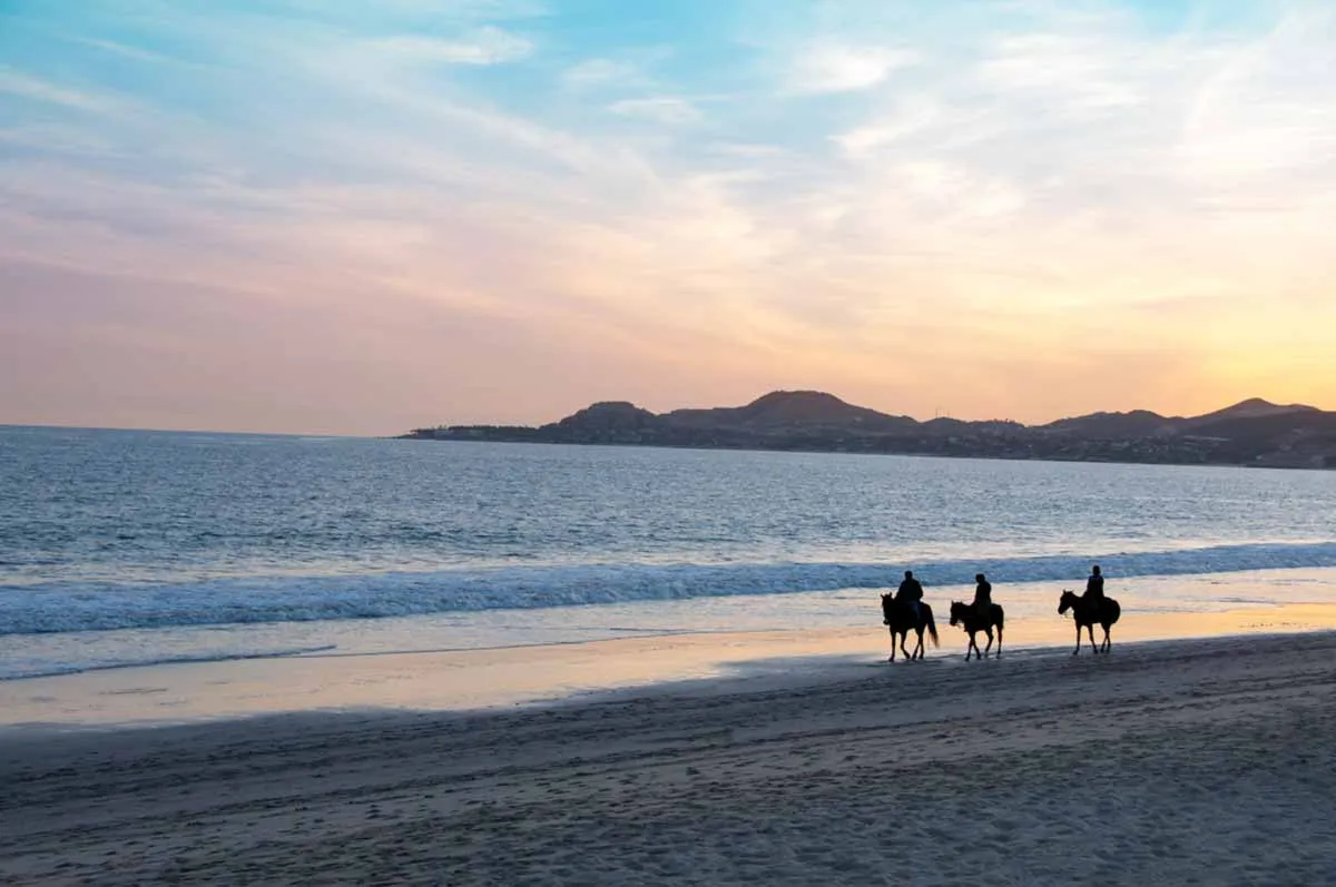 Cuadra San Francisco Equestrian Center