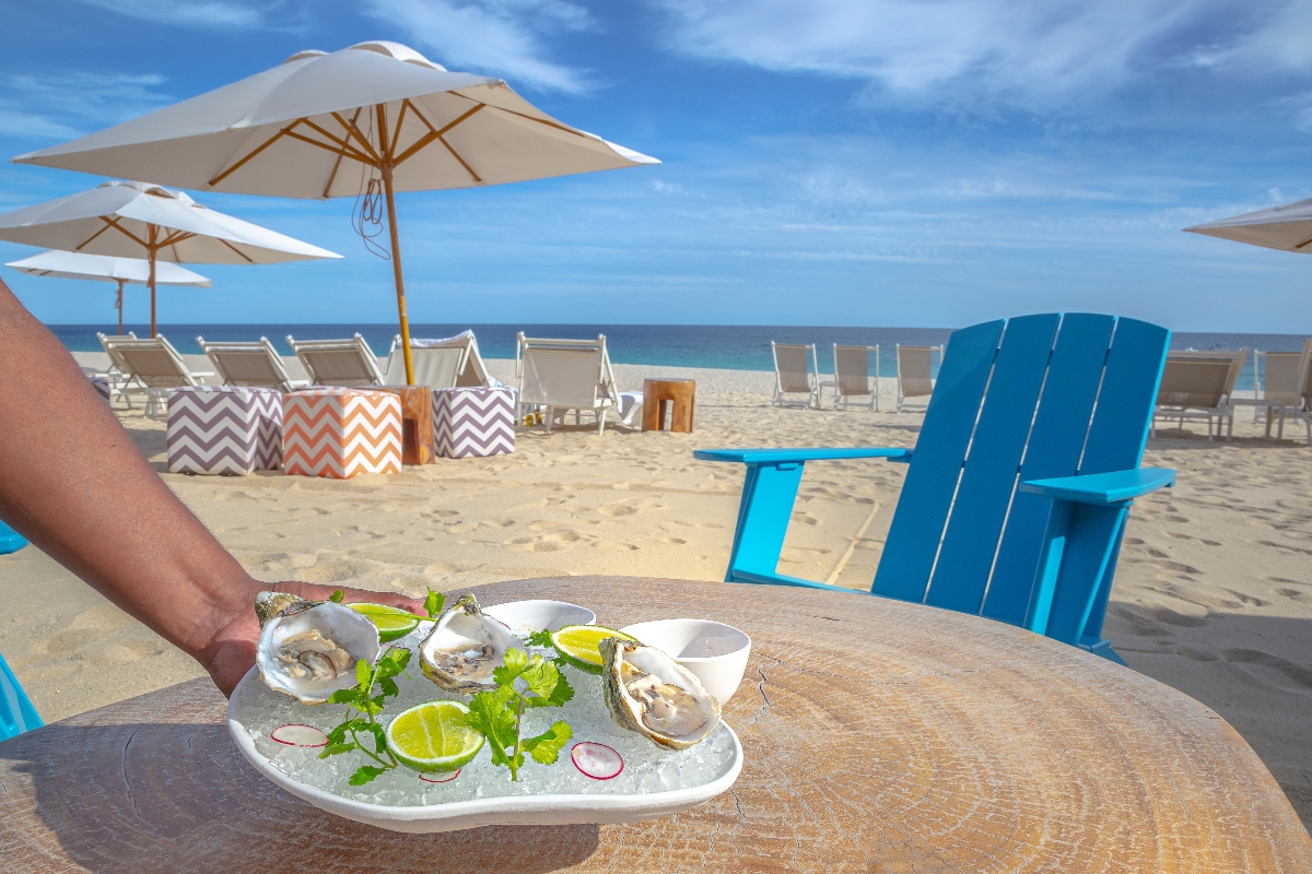 fresh oysters from garza blanca cabo food truck