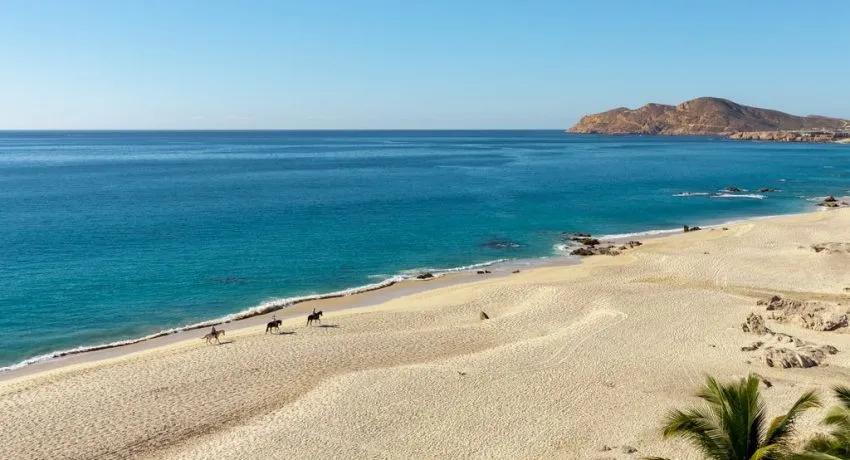 Traveling to Cabo in January - Weather, Things to do & More
