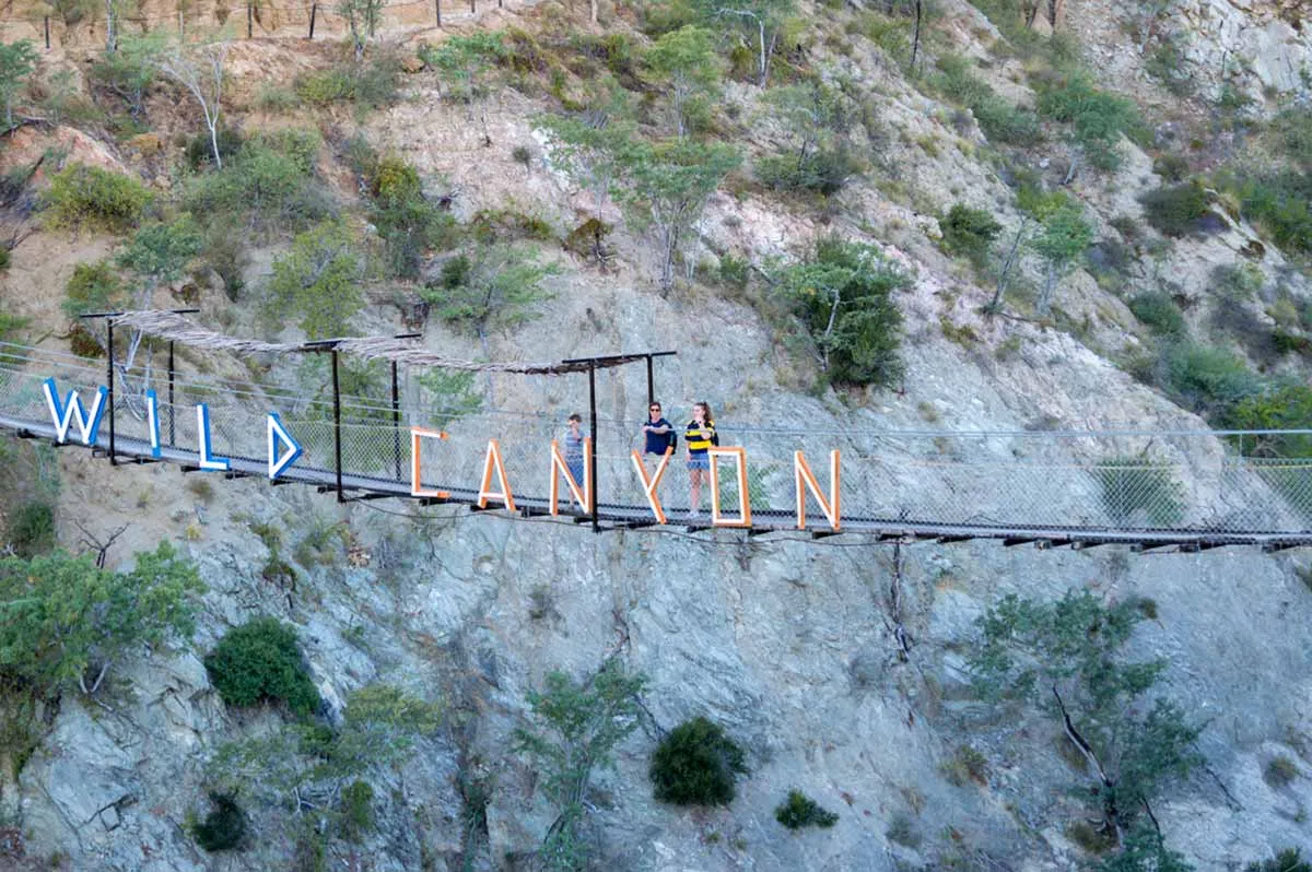 Wild Canyon Adventures in Los Cabos