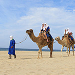 Camel Tour